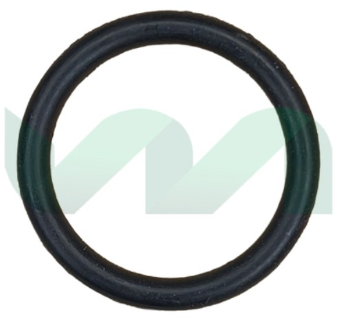 M2098 - ORING MOTOR PASO A PASO CLIO