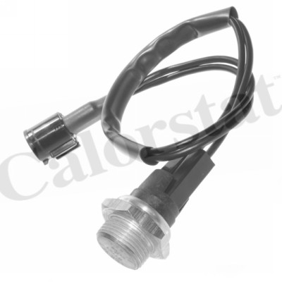 TS1960 - BULBO ELECT. RENAULT CLIO CABL