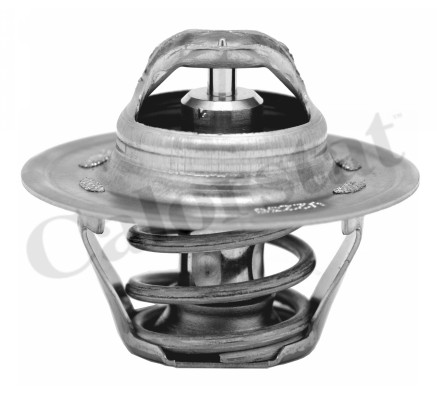 TH6276.87J - TERMOST. VW BORA 1.6