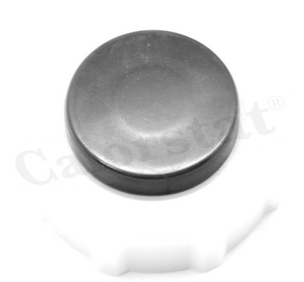 RC0017 - TAPA DEPOSITO AGUA RENAUULT 19 - CLIO - MARRON