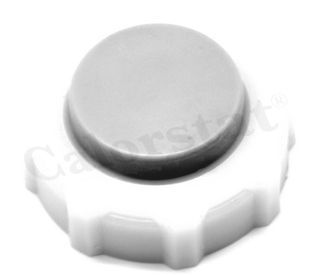 RC0018 - TAPA DEPOSITO AGUA RENAULT 19 - CLIO - AZUL