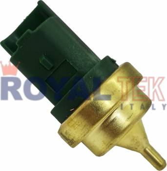 RT2691 - BULBO.TEMP. PEUGEOT 206 1.6 12V