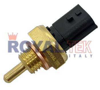 RT2693 - BULBO INY. RENAULT CLIO - KANGOO - SANDERO - 2 PINES