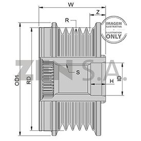 ZEN5819 - POLEA  ALT. VALEO FORD ECOSPORT MOTOR DRAGON